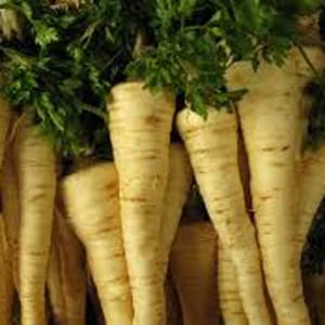 The best ways to prepare parsley for the winter in dry, frozen and canned form