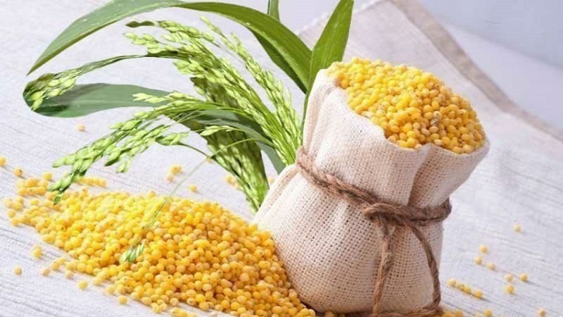 What is the difference between millet and wheat and how to use them in cooking