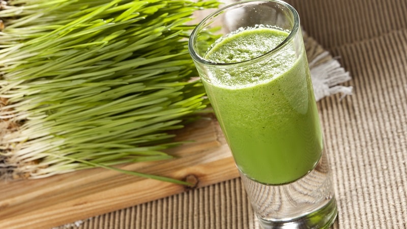 What is the difference between millet and wheat and how to use them in cooking