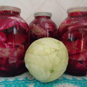 How delicious and easy it is to pickle cabbage for the winter using quartered heads of cabbage