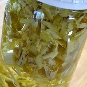 What is good about root celery, how to grow and use it correctly