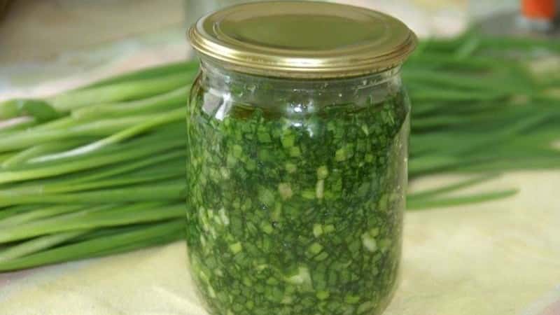 The best ways to preserve green onions for the winter at home