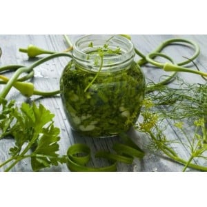 The best ways to preserve green onions for the winter at home