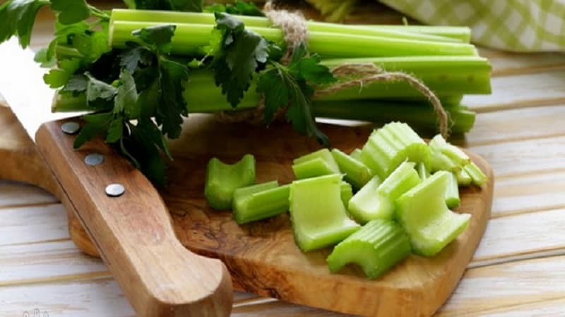 How to grow and use petiole celery with maximum benefit for the body