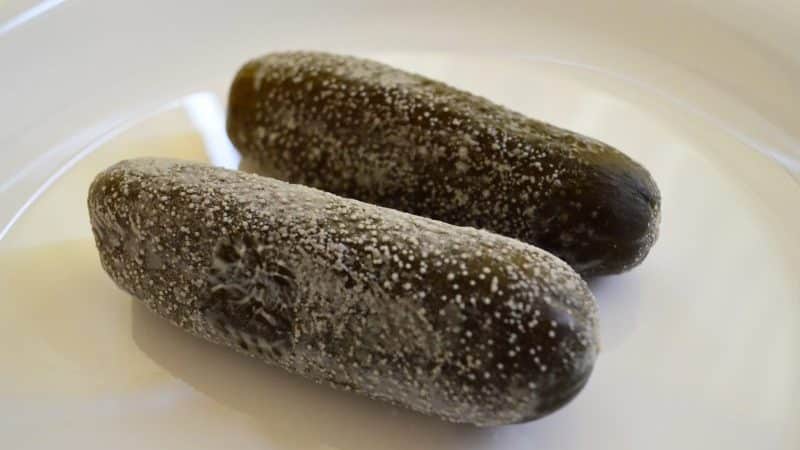 Why does a white coating appear on pickled cucumbers and is it possible to eat them?