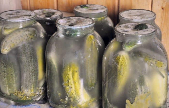 Why does a white coating appear on pickled cucumbers and is it possible to eat them?
