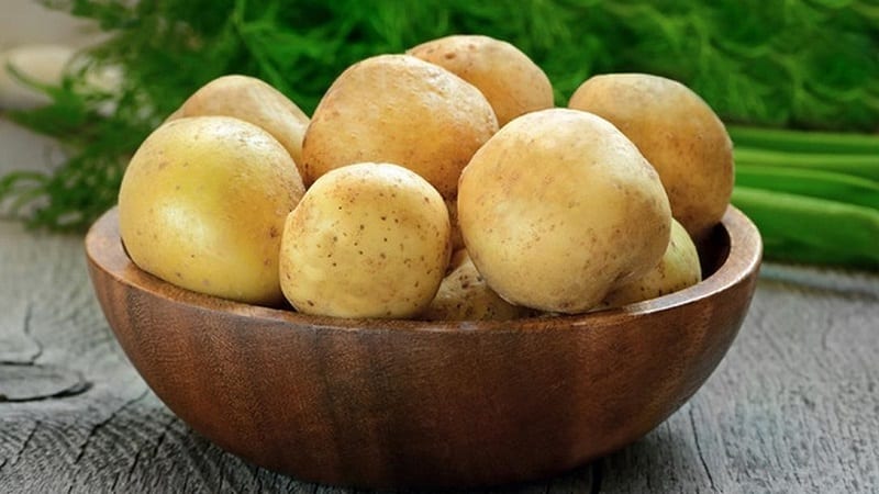 Is there diarrhea or constipation from potatoes and is it possible to eat them in such cases?