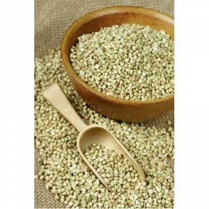 What is good about green buckwheat and how to cook it correctly