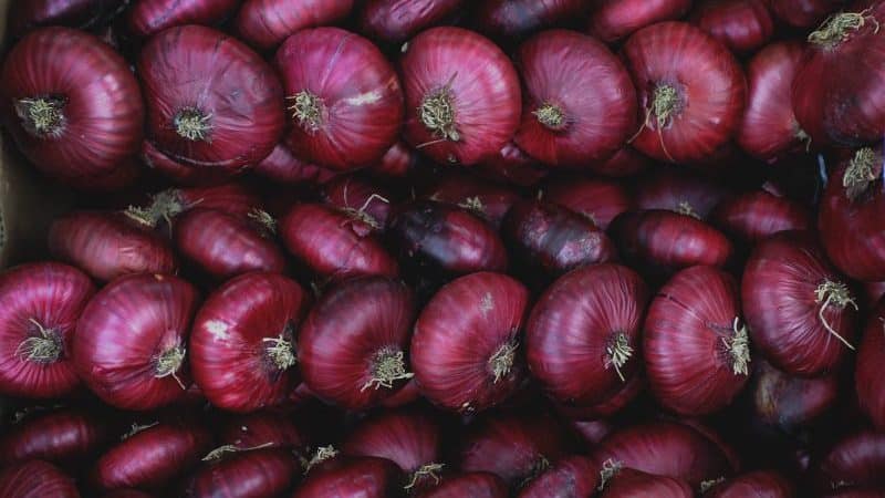 Why is Yalta onion so good and how to distinguish it from a fake