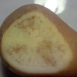 What to do if there are brown streaks inside the potatoes