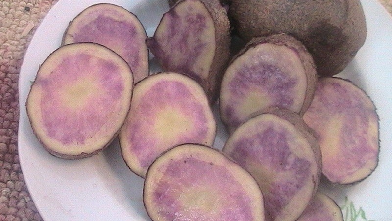 What to do if there are brown streaks inside the potatoes