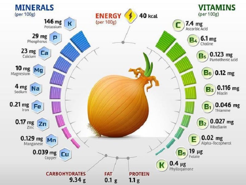 What is contained in onions: what vitamins and microelements