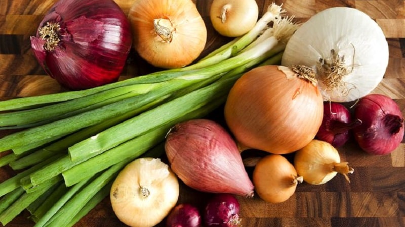What is contained in onions: what vitamins and microelements