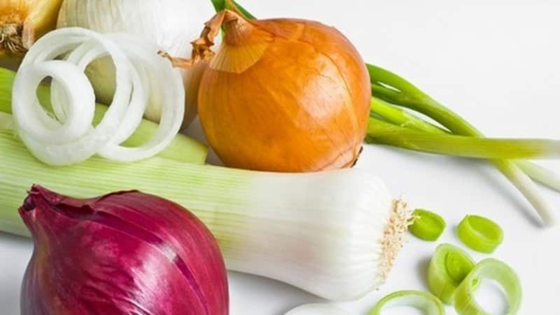What is contained in onions: what vitamins and microelements
