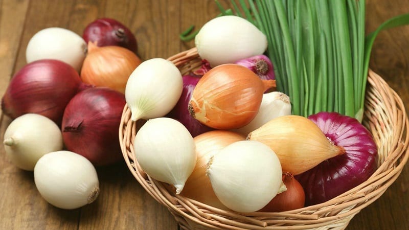 What is contained in onions: what vitamins and microelements