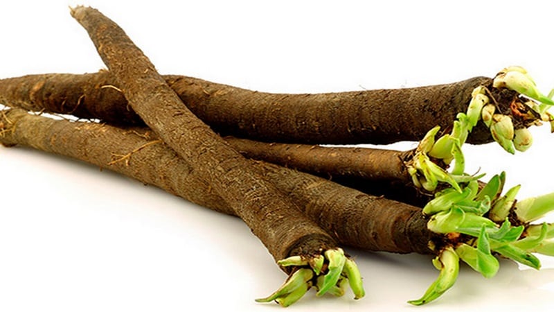 What are black carrots: where does it grow and does it really exist?