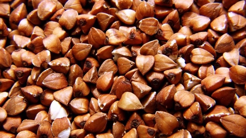 How to make buckwheat for porridge