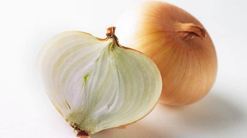 Onion hybrid Hercules: can it be planted before winter and cultivation features