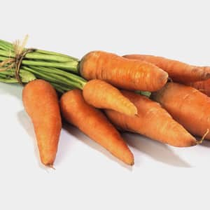 Storing carrots in winter: the best varieties with excellent keeping quality