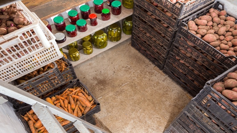 How to store potatoes in the same cellar with apples and is it possible to do so?