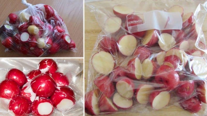 Fresh radishes all winter: how to preserve them at home