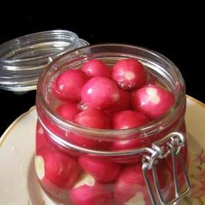 Fresh radishes all winter: how to preserve them at home