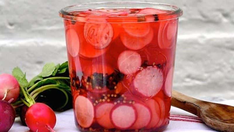 Fresh radishes all winter: how to preserve them at home