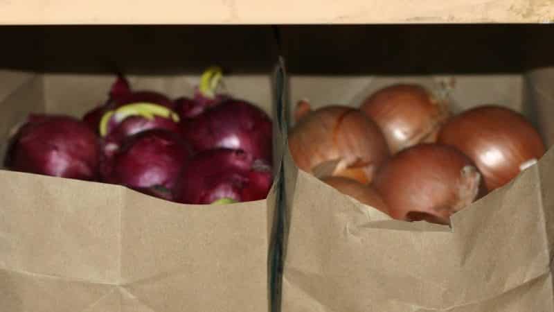 How to properly store onions: at what temperature and under what conditions