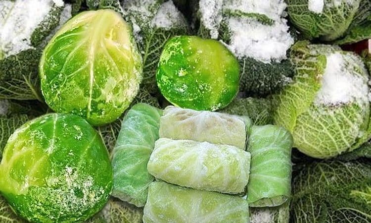 How to make the best cabbage preparations at home