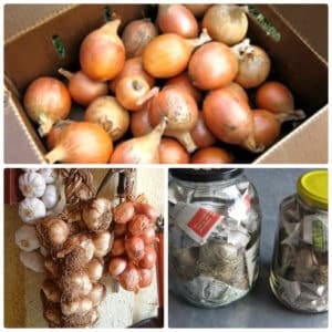 Step-by-step instructions on how to preserve onions for the winter at home