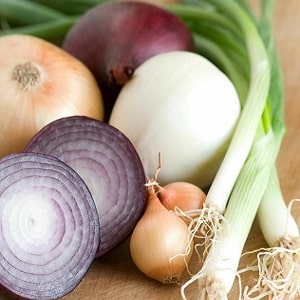 What types of onions are there, their characteristics, and which variety is best suited for long-term storage