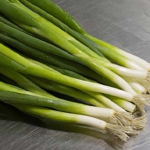 What types of onions are there, their characteristics, and which variety is best suited for long-term storage