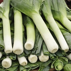 What types of onions are there, their characteristics, and which variety is best suited for long-term storage