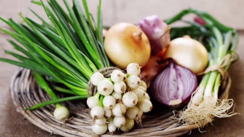 What types of onions are there, their characteristics, and which variety is best suited for long-term storage