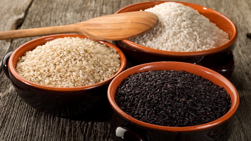 What types of rice are there and what are their characteristics?