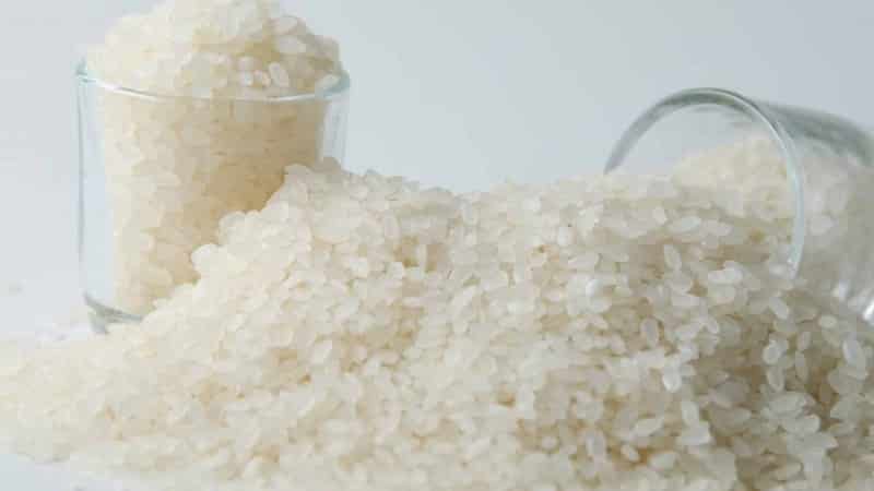 What types of rice are there and what are their characteristics?