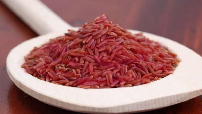 What types of rice are there and what are their characteristics?