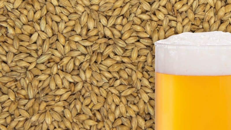 What cereals are made from barley and the beneficial properties of the cereal