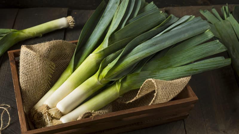 What part of leek is eaten and how to cook it correctly