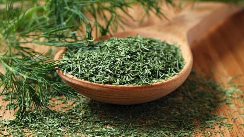 How many calories are in 100 grams of dill?