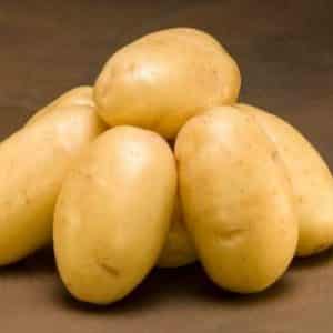 Mid-late table potato variety Ragneda, adaptable to any soil