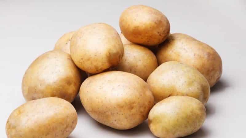 Mid-late table potato variety Ragneda, adaptable to any soil