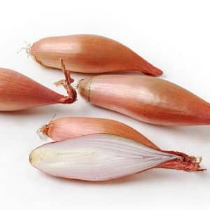 High-yielding onion variety, resistant to diseases and pests Bamberger