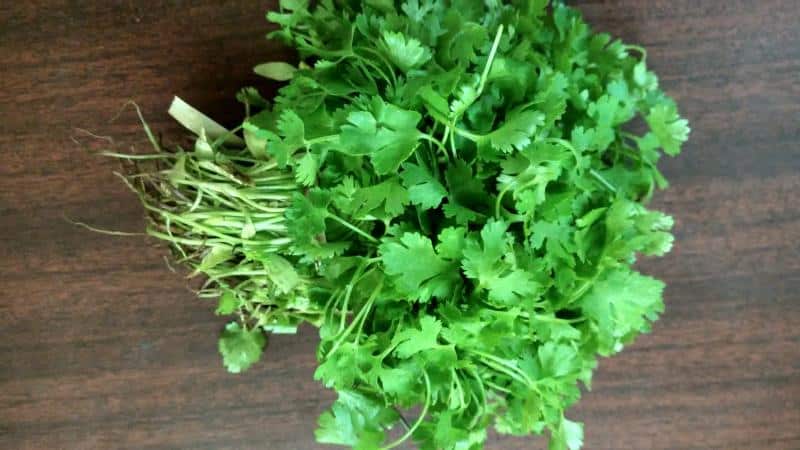 Is it possible to eat parsley during pregnancy?