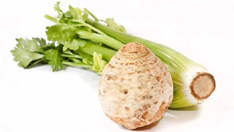 Is it possible to eat celery while breastfeeding?