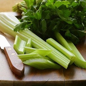 Is it possible to eat celery while breastfeeding?