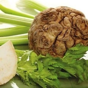 Is it possible to eat celery while breastfeeding?