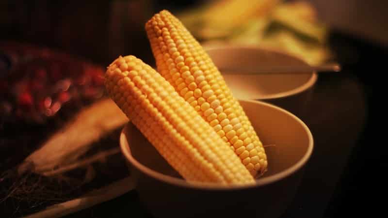 Is it possible to eat boiled corn while losing weight: calories, benefits and harm in the fight against extra pounds