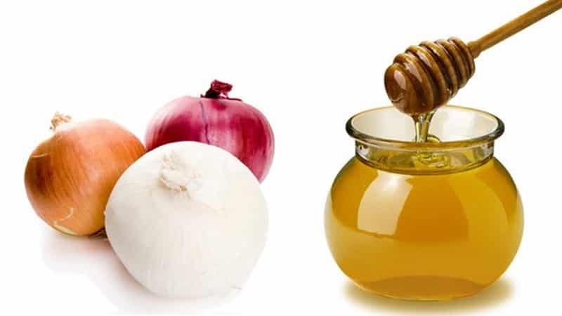 Simple and effective folk methods of treating onions for various diseases