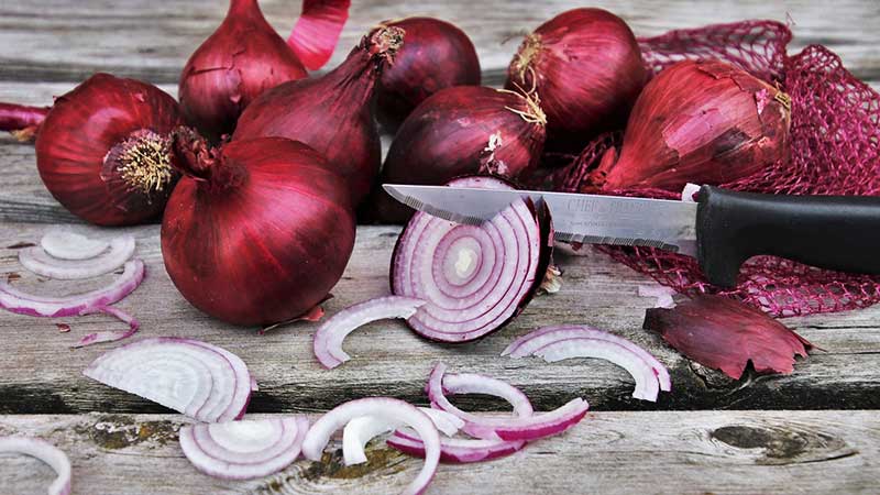 Simple and effective folk methods of treating onions for various diseases